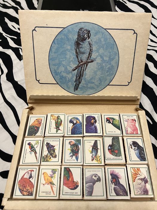 Спички попугаи