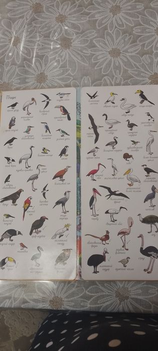 Книги для чтения