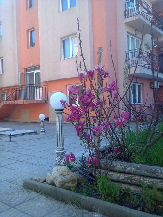 Апартамент в с.Равда