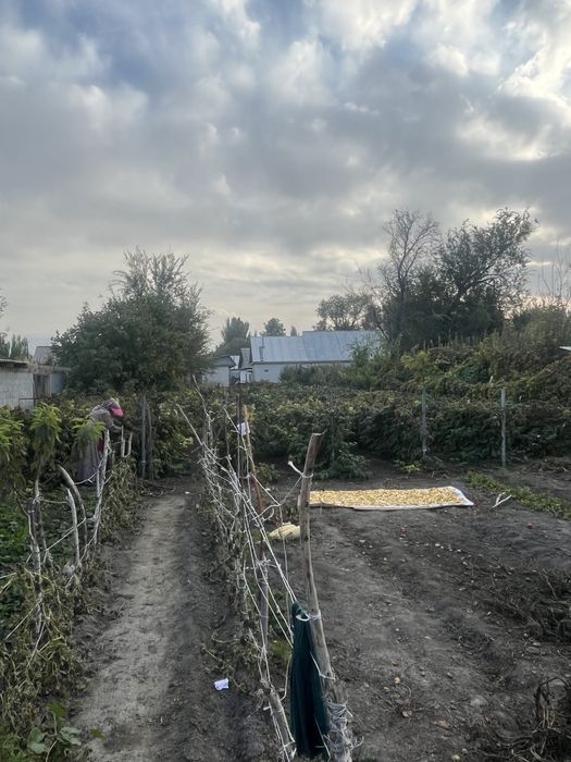 Продается дом с большим участком