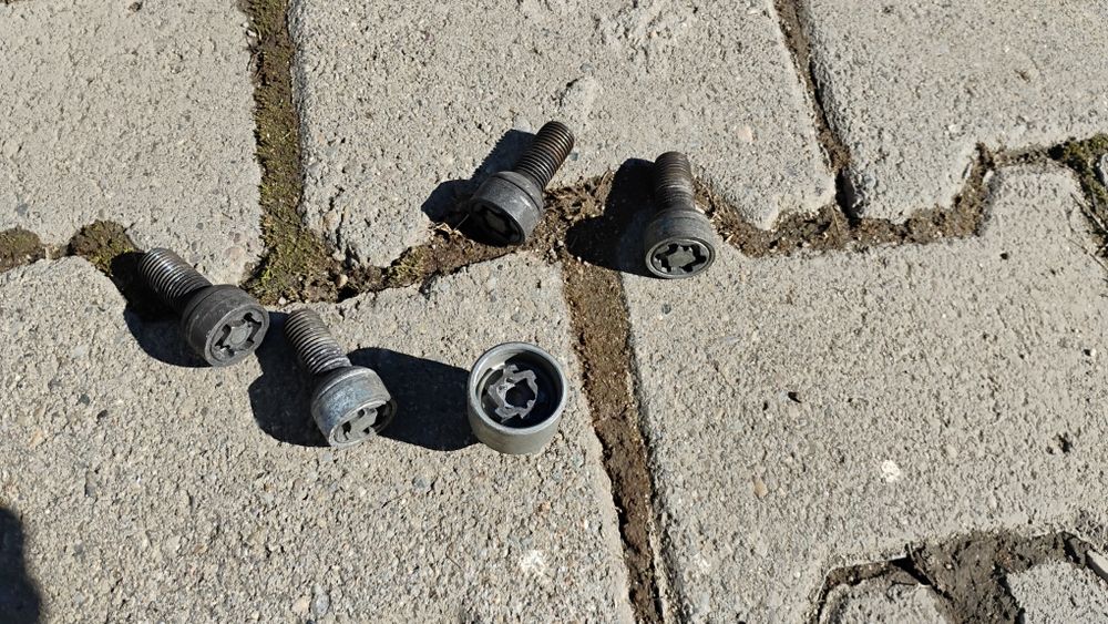 Prezoane antifurt Wag