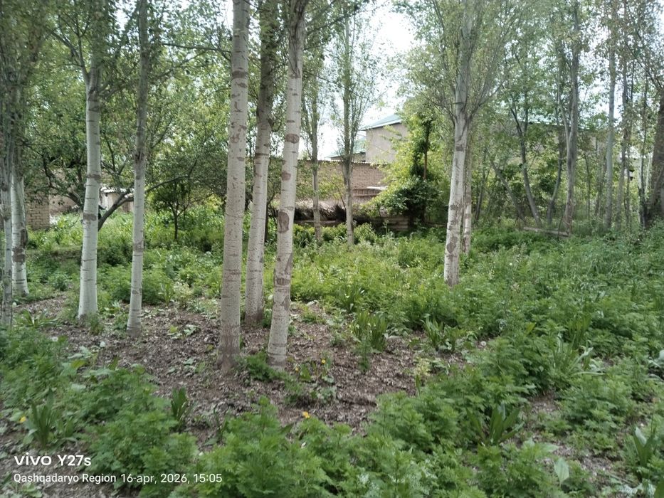 Quruq er maydoni sotiladi