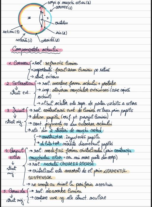 Ofer meditatii pentru admitere la UMF