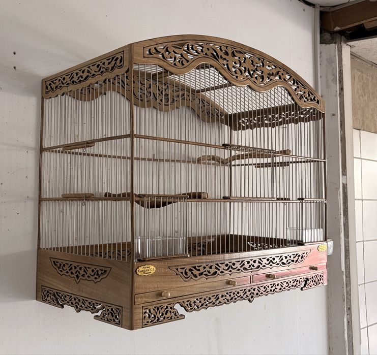 Ёнгокдан котта кафас сотилади