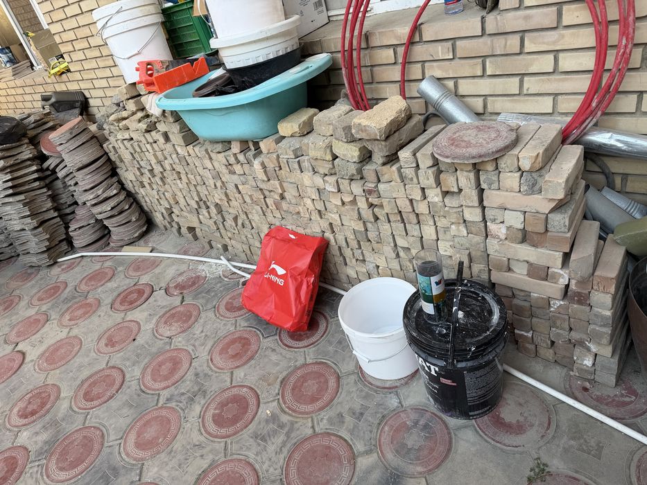 Podrashevka bruschatka pol