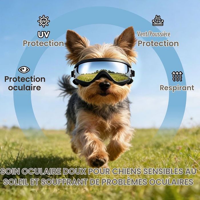 Ochelari de protecție pentru câini de talie mică, anti-UV, rezistenți la vânt