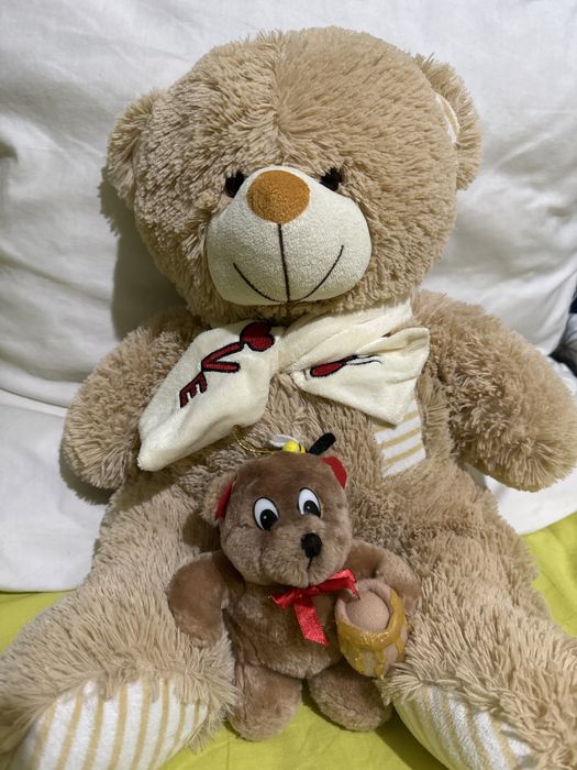 Две плюшени мечета