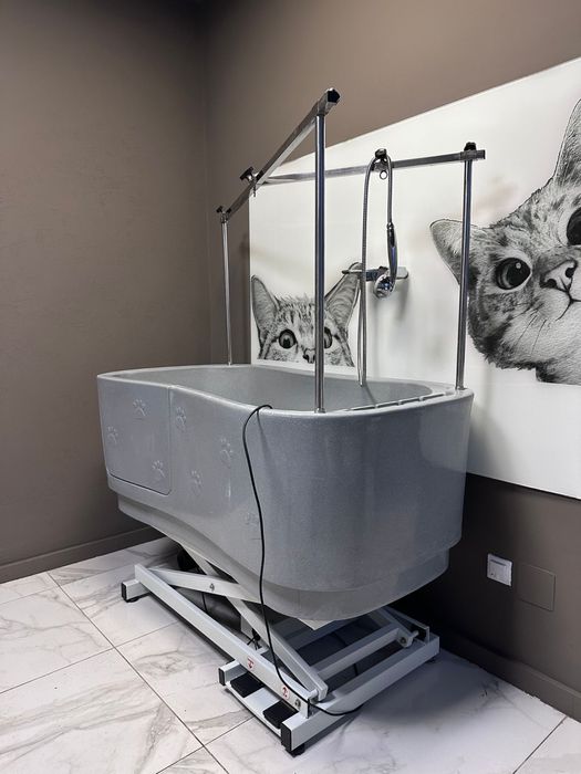 Cadă profesională reglabilă electric