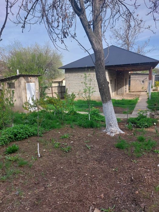 Продам дом Бозарык