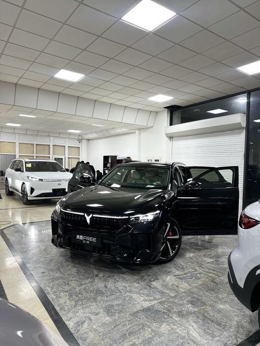 VOYAH FREE 318km 2025 Apolotech