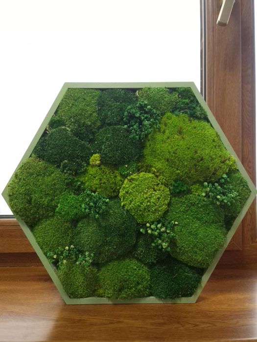 Tablou hexagonal din muschi si licheni 45.5 cm