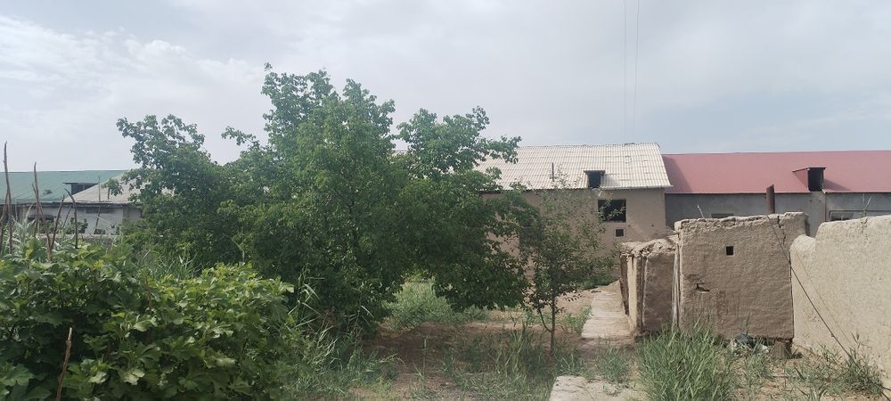 Уй сотилади манзил Гурлан тумани