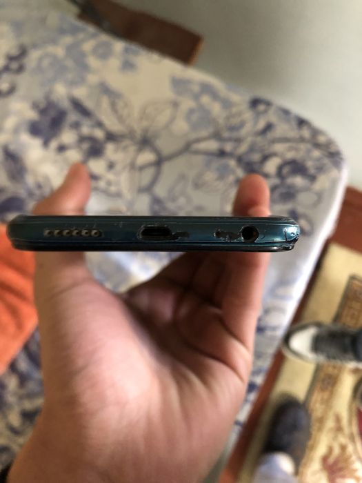 Виво й 12 Бухара и жондор