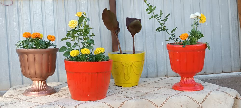 Продаются горшки из бетона для цветов