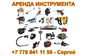 Лиса в аренду!!!