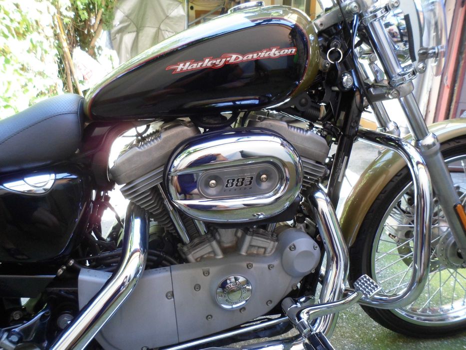 Harley Davidson XL 883 C Sportster Custom