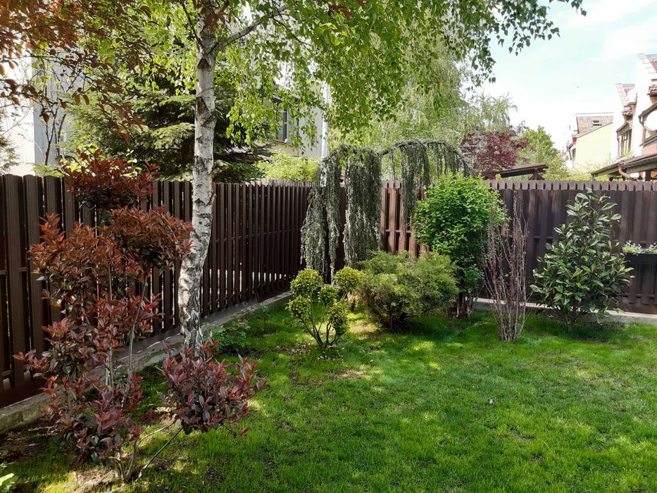 Insamantare gazon si alte specii perene