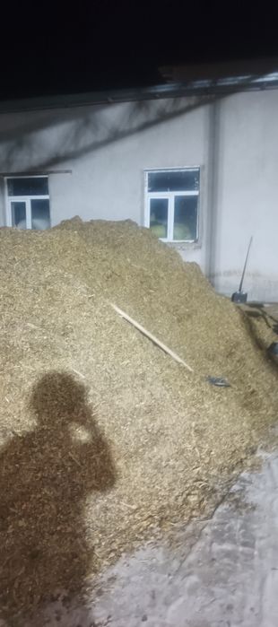 Макка силос сенаж сенаш синаш сенаш маккажўхори ўт беда самон прес