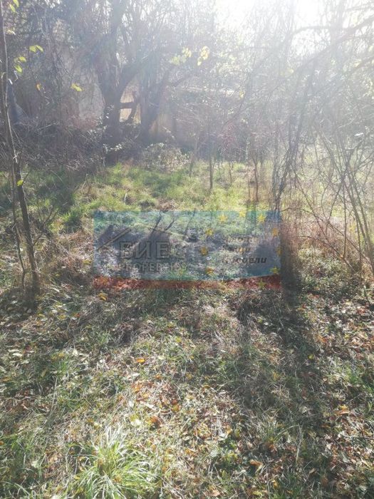 Парцел - 840 м2 в с. Кошарево