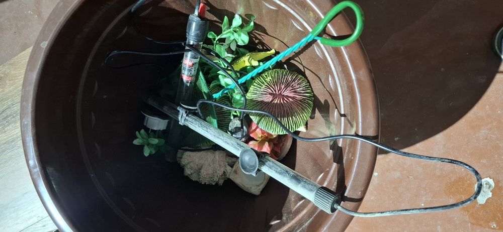 Akvarium sotiladi