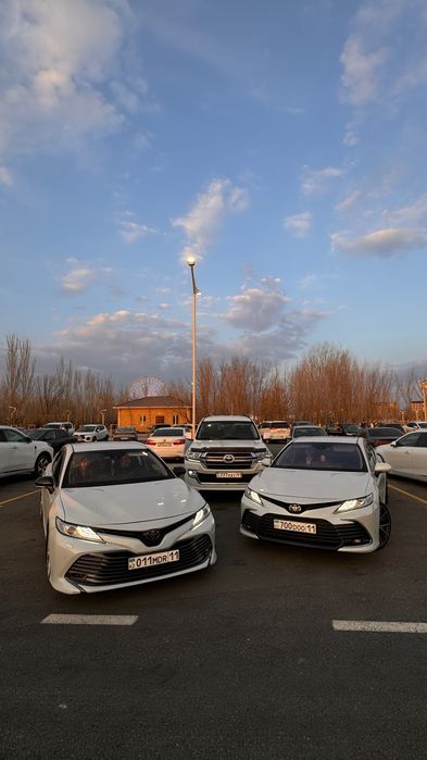 Аренда авто с водителем