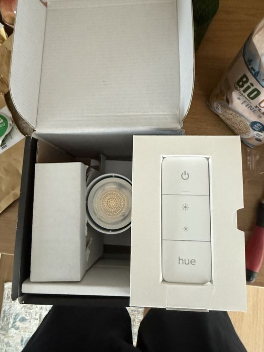 Spot inteligent Philips Hue Runner