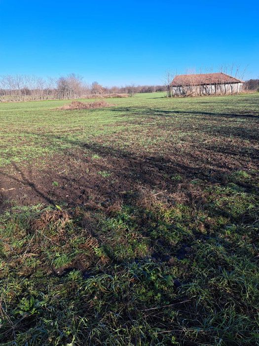Продава се Земеделски имот в Шабла за 2500 €/дка - Снимка #1