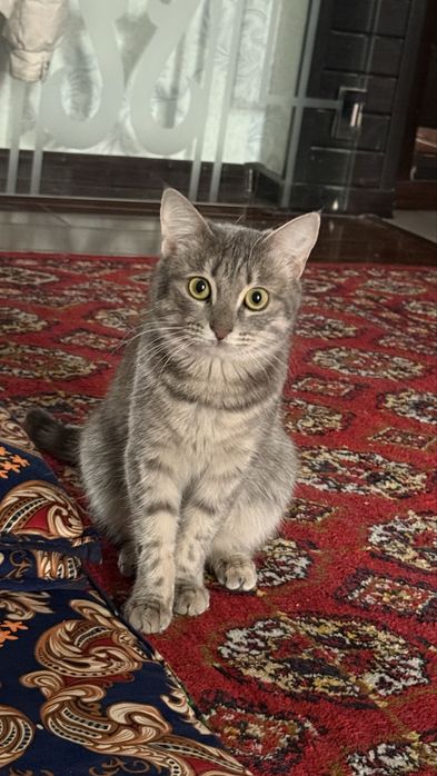 Вязка! Ищим принца