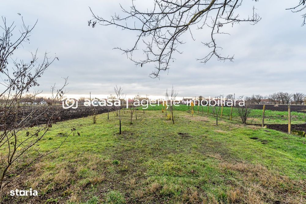 Casă + livadă tânără + curte 2.500 mp în Dorobanți
