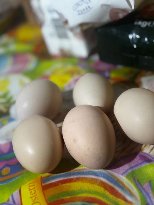 Ouă de țară , de vânzare