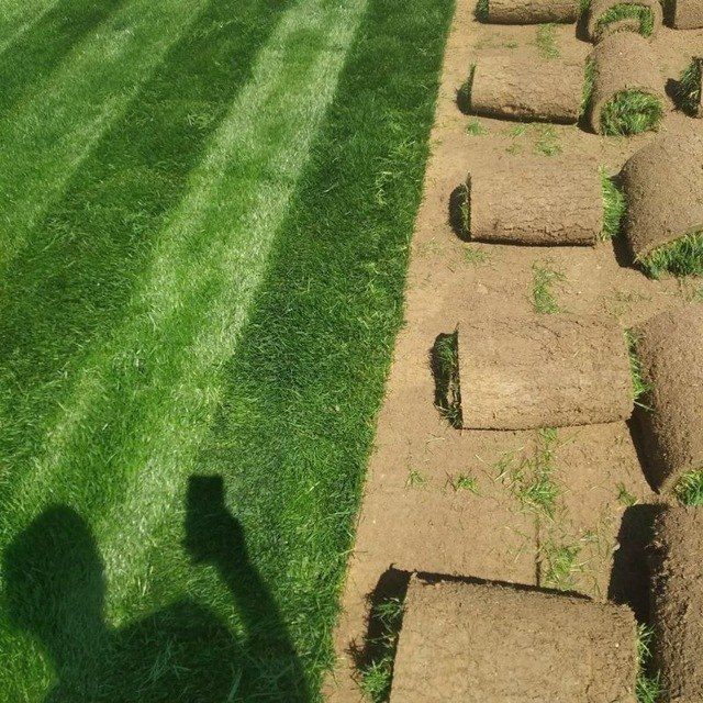 Gazon landshaft dizaynini