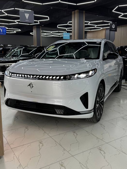 Donfeng 008 gibrid 2026/2026