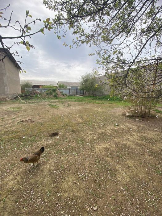 Yer sotiladi Manzil Toshkent viloyati Bekobod tumanida