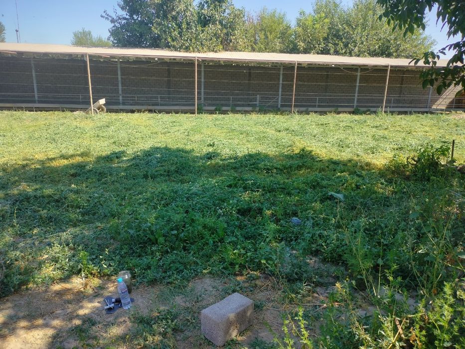 70 sotihli hovli va mini ferma.Havosi toza.Manzarali joylar.