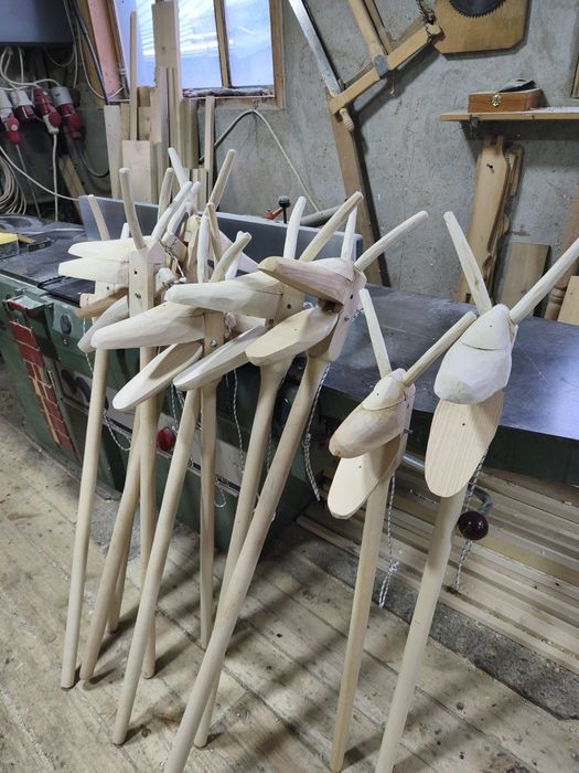 Căprițe de anul nou .