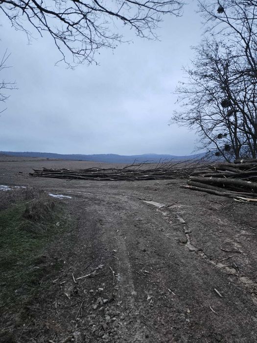 Vand si Transport Lemne de foc uscate taiate crapate, salcam fag stejar, livrare la domiciliu