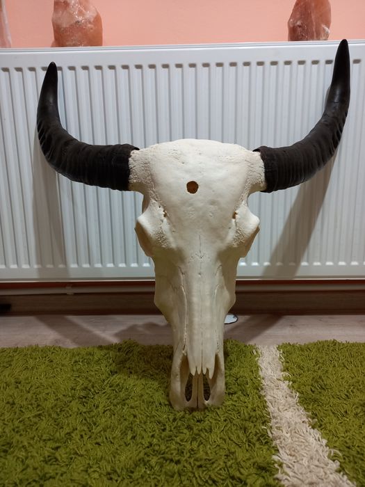 Obiecte de Colecție