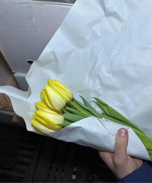 Тюльпаны Астана чубары