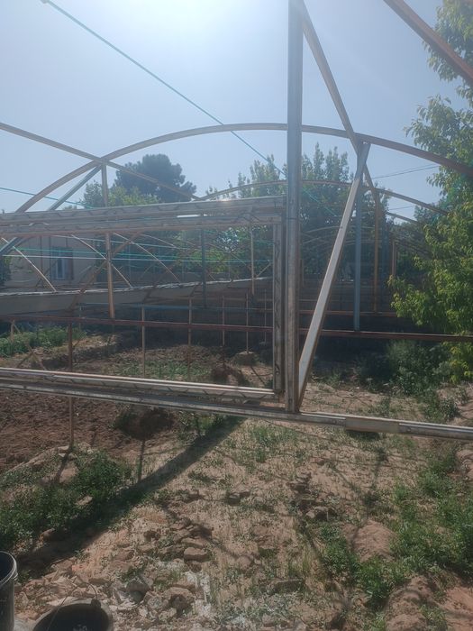 tiplisa yaxshi xolata turibdi