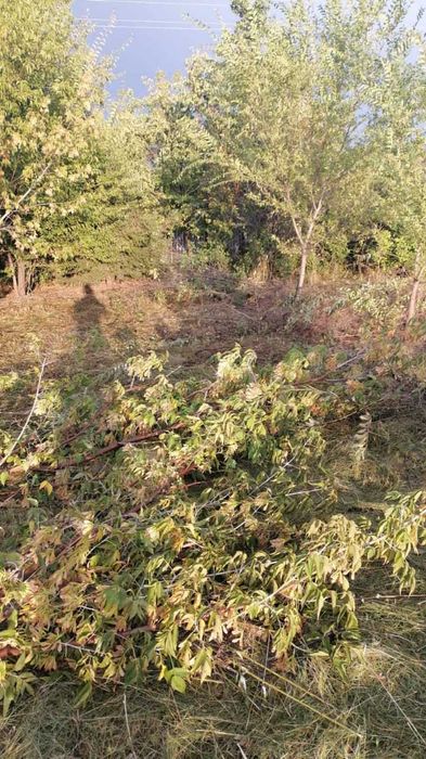 Продам участок, 23 мкр. ИЖС.