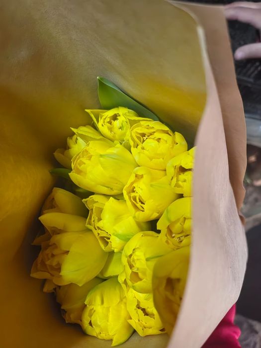 Тюльпаны только оптом