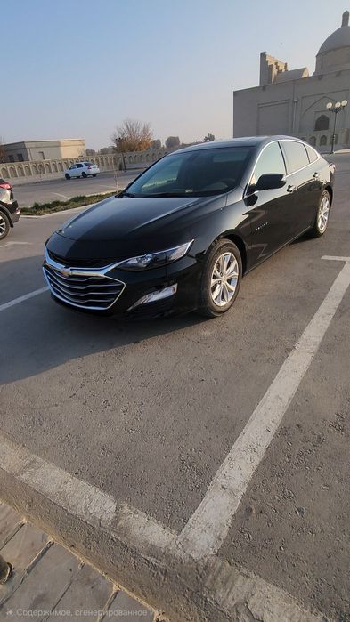 Malibu2 trend bukhara