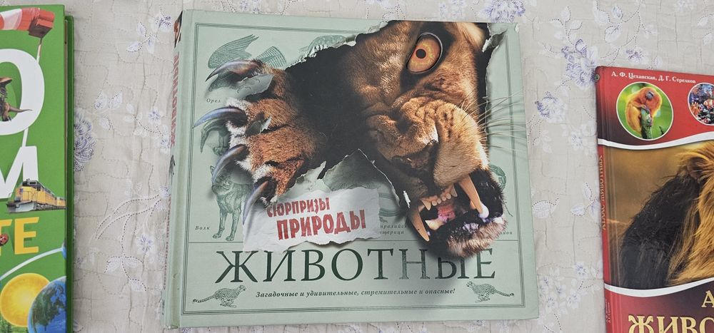 Книги энциклопедии