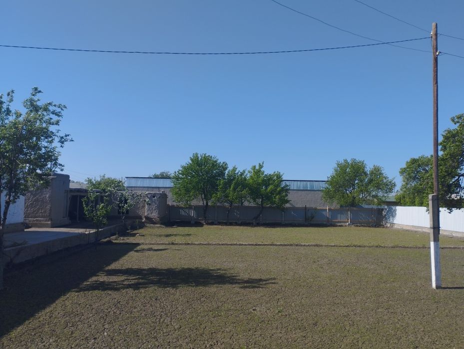 Hovli sotiladi 15 sotix