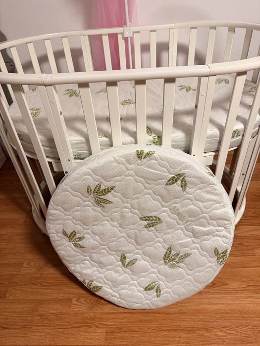 Patut bebe oval, evolutiv