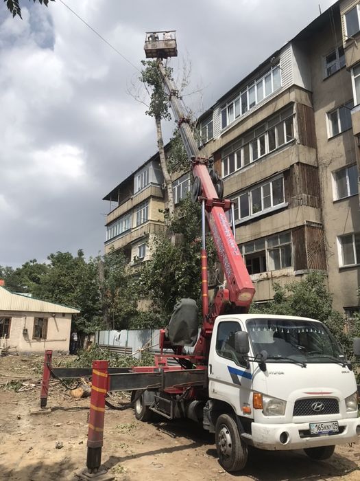 Спил деревьев любой сложности