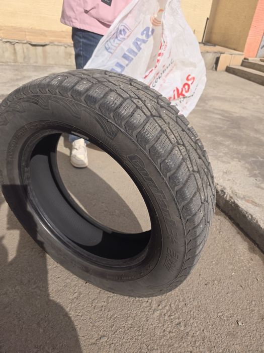 Калоса крассавер