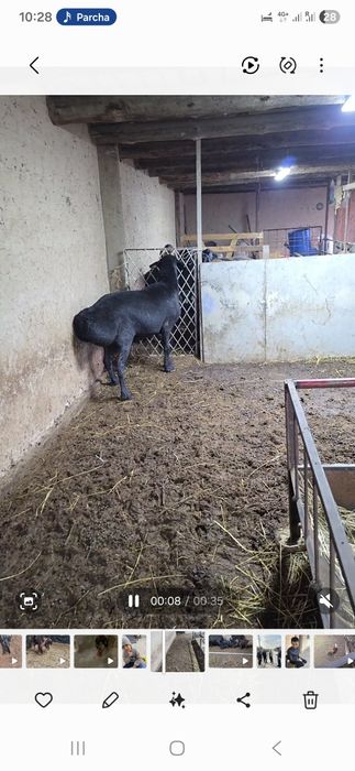 Лумизин линяа 2 г