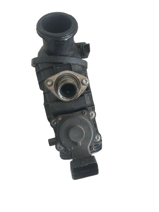 Clapeta De Acceleratie Peugeot 407 Coupe 6C_ 2005 - > 2.7 Hdi Uhz (Dt1