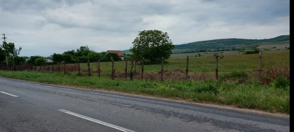 Teren de Vanzare - 11.780 m - INTRAVILAN, Desc. ap.110 m, MEREI - BUZAU